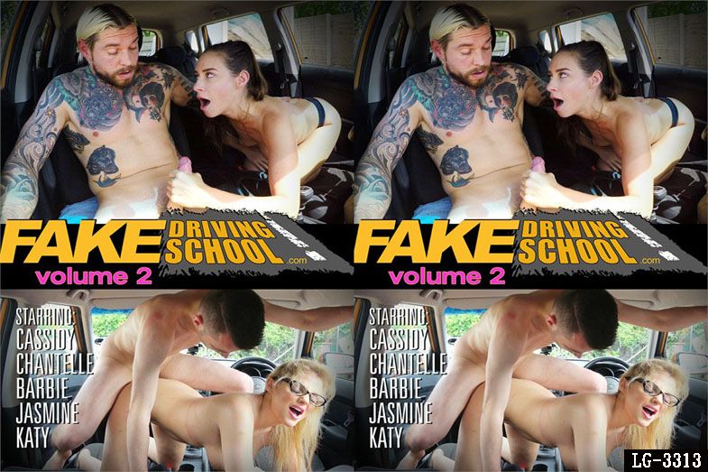 Fake Driving School Volume 2